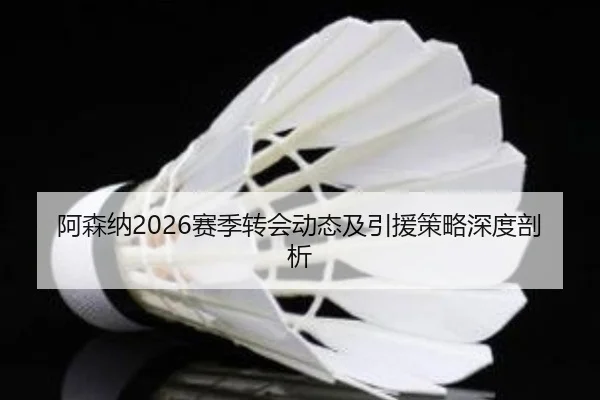 a-sen-na-sai-ji-zhuan-hui-dong-tai-ji-yin-yuan-ce-lve-shen-du-pou-xi-2-591.jpg