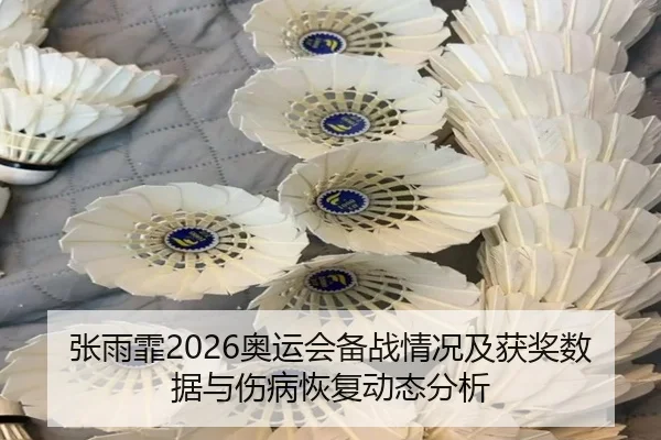 张雨霏2026奥运会备战情况及获奖数据与伤病恢复动态分析