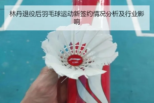 林丹退役后羽毛球运动新签约情况分析及行业影响