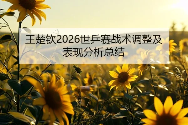 王楚钦2026世乒赛战术调整及表现分析总结